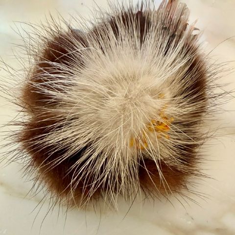 Vintage Mink Pansy Brooch