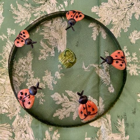 Small Vintage Food Cover