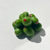 Olive Cluster Scented Candle