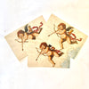 John Derian New York carte postale