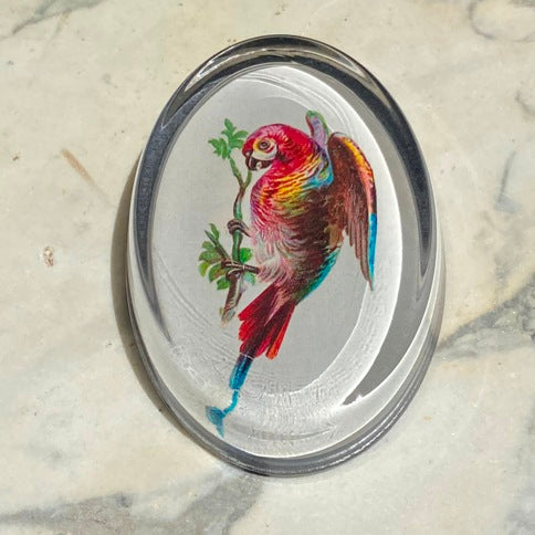 John Derian New York Oval Paperweight