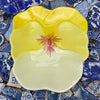 Small Pansy Plate
